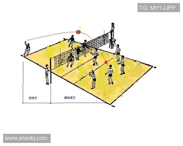 深圳排球队的战术解析与控制能力深度剖析