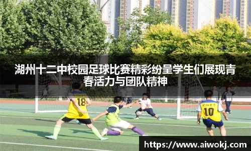 乐动LDSports体育